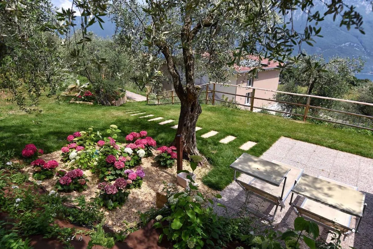 Apartments In Tremosine Sul Garda 34645