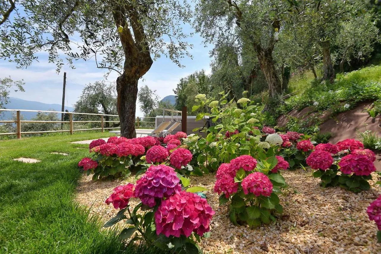 Apartments In Tremosine Sul Garda 34645 0*,