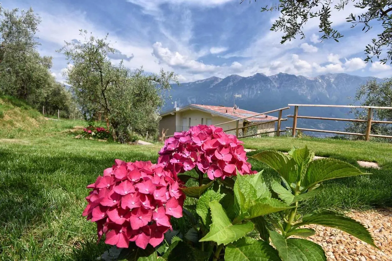 Apartments In Tremosine Sul Garda 34645 Italy